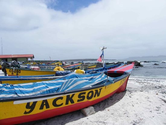 Fischerboote im Hafen