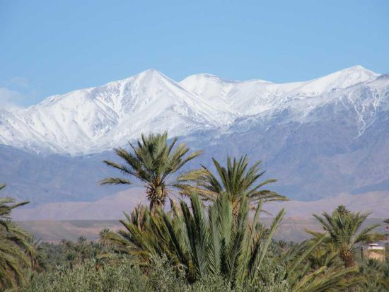 Abschied von Skoura, da hat es aber nochmal kräftig geschnitten ...