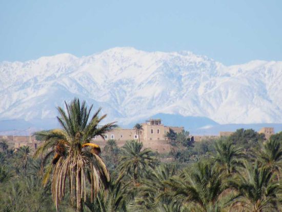 auch nicht schlecht ...