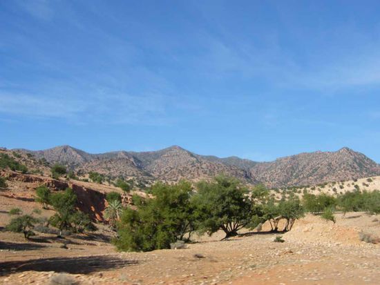 die Landschaft ändert sich ... zu ihrem Vorteil ...