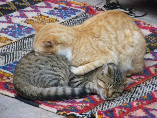 hier ist alles völlig entspannt ... 