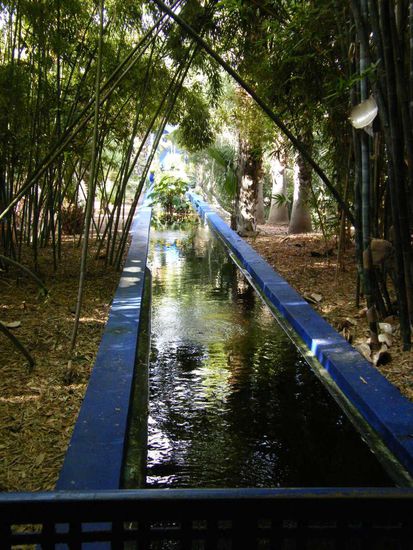 im Garten ... und dafür fliegen wir nach Marrokko ... grins.