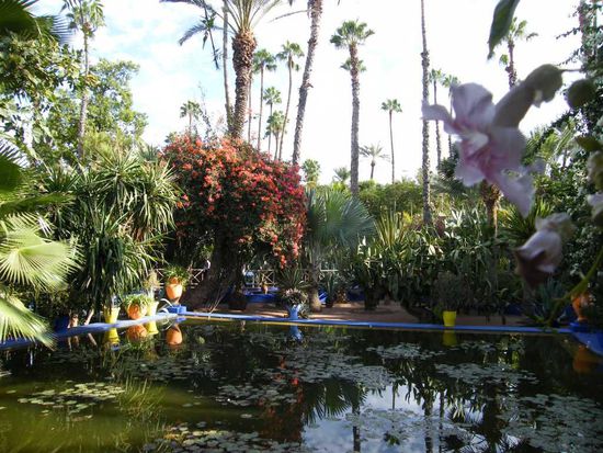 noch ein Gartenfoto ...