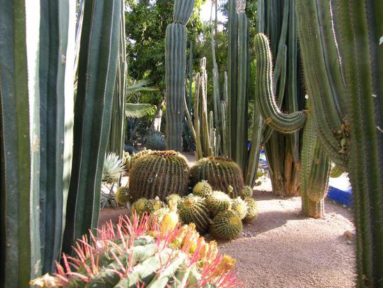 selber Garten ... allerdings andere Pflanzen ... 