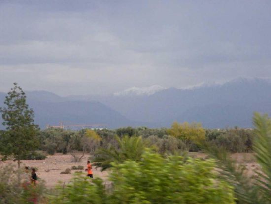 im Hintergrund sieht man den Schnee in den Bergen ...