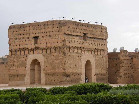 jetzt wissen wir auch, wohin unsere Störche hinflüchten ...