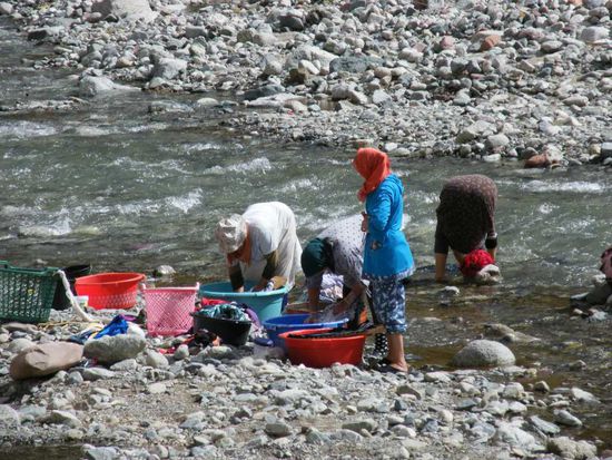 egal, was ich dazu schreibe, ich kriege auf dem Kopf gehauen ... 