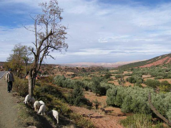 Blick in eine  Schlucht ... mit Ziegenhirt