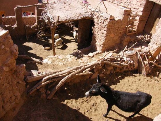 im alten Dorf ... ob die Ziegen jemals aus ihrem Stall dürfen, ist uns nicht bekannt.