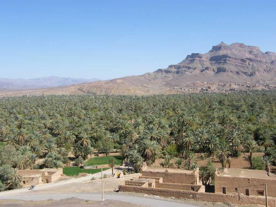 der Begin des Draa Tals