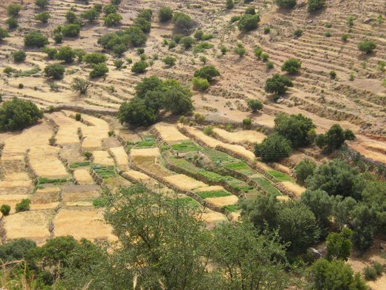 Landwitschaft ... hier Terassenanbau