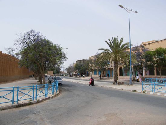 blau blühende Bäume ...