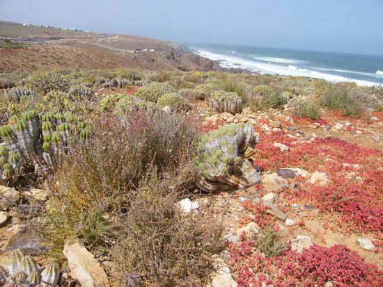 das hatte schon was ....