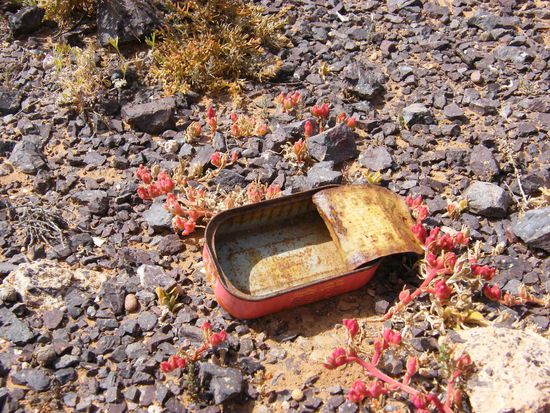 Benita meint, das wäre Kunst. Kopfkratz ....