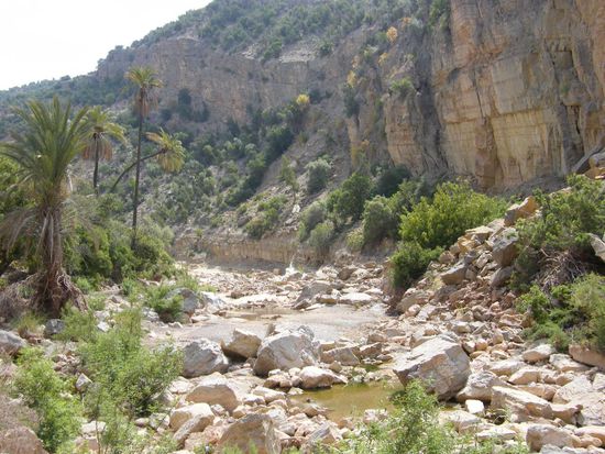 schon wieder alles voller Gegend.