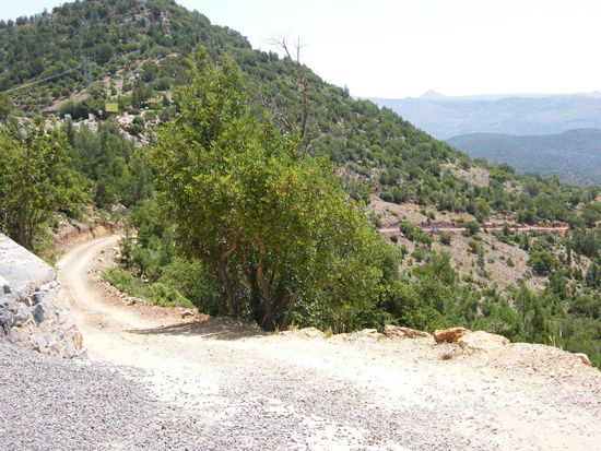 der Weg ist das Ziel ...