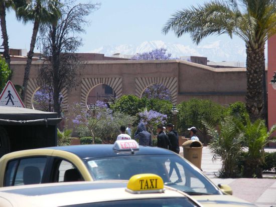 im Hintergrund sind die schneebedeckten Berge zu sehen ... da wollen wir morgen hin ...