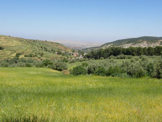 alles voll Landschaft