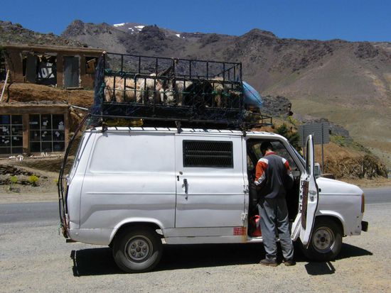 Ziegentransport ... oder machen die auch nur einen Ausflug ?