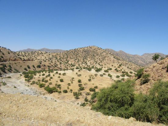 hier das Ammelntal mit Flussbett