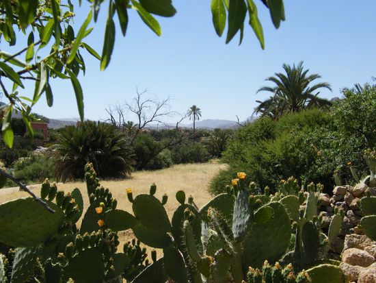 das Ammelntal ohne Flussbett, dafür aber mit blühenden Kakteen ... 