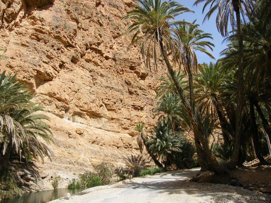 unten im Tal ... links der Bach ... rechts die Palmen