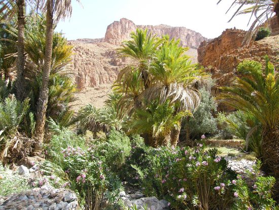 das muss man in Natura gesehen haben ...