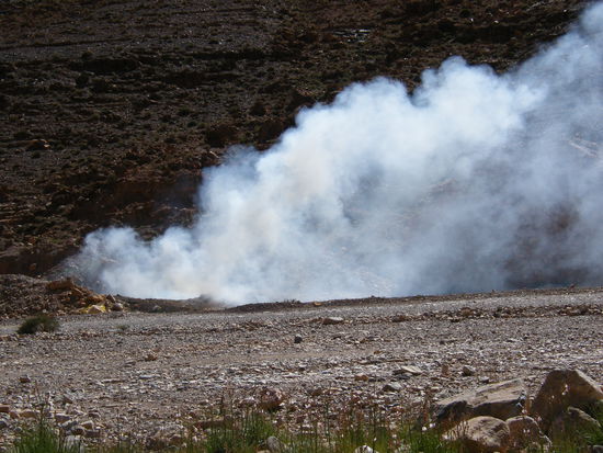 die Problemlösung für den ganzen Müll