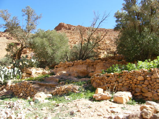 trotz der kargen Landschaft, hier gibt es auch grün ...