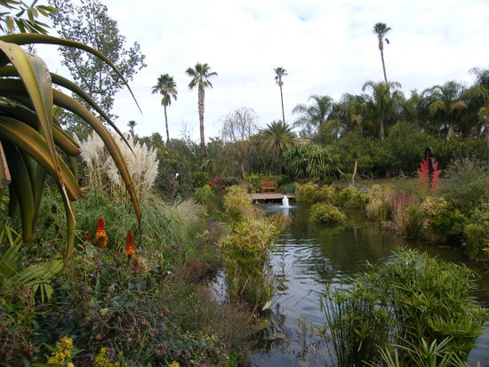 ein Teich im Garten ..