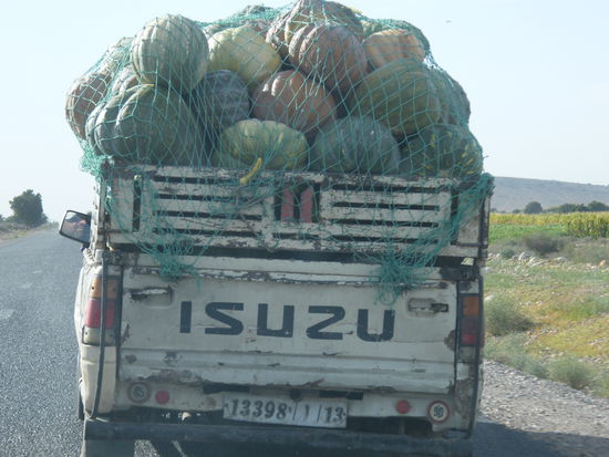 die Kürbisse sind auch schon fertig ...