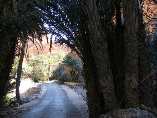 das hat doh was ... oder?