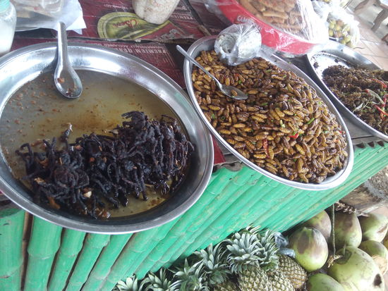 Mittagssnack am Busbahnhof. Zur Auswahl gegrillte Tarantel, Mehlwürmer oder Kakerlaken.