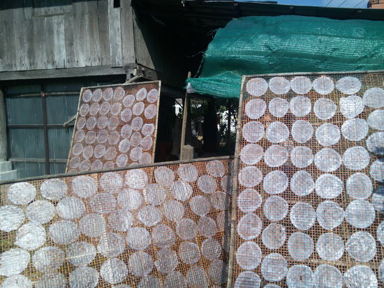 Reispapierherstellung