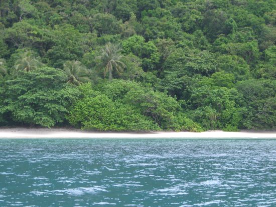 Erster Stop: Lone Island