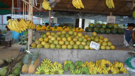 der "Obststand". Hier holen wir uns taeglich frische Ananas, Bananen, Grapefruit etc. Einfach lecker. Hier schmeckt es noch so, wie es aussieht