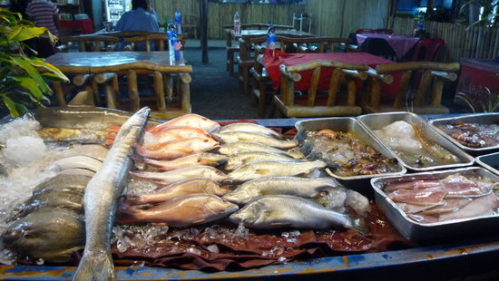 absolut frischer Fisch