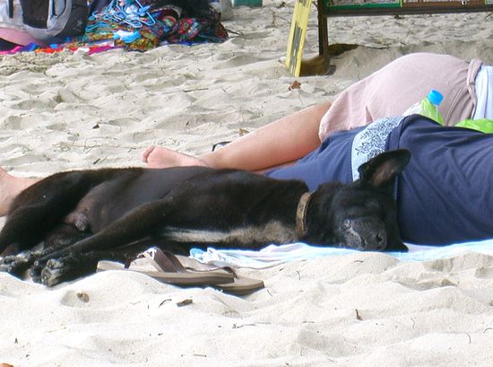 Freunde fuers Leben ... schnell gefunden und gleich auch die Decke geteilt.