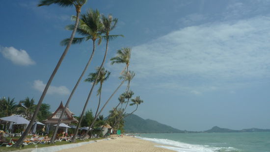 weitlaeufiger Blick Sandstrand