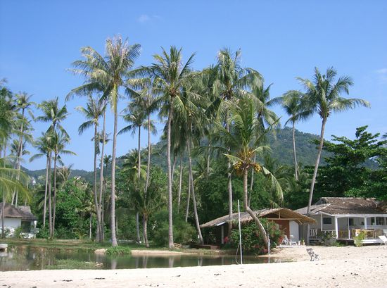 beim Spaziergang am Strand ... ruhig, einsam und verlassen. ABER doch SEHR SEHR SCHOEN!!