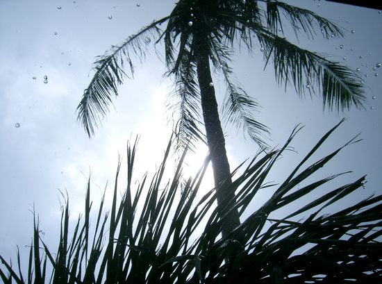 ein paar grosse Tropfen fallen hier noch. Bald kommt die Sonne wieder durch