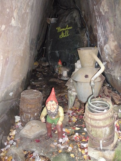 Ich wußte es doch schon immer...