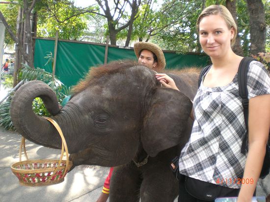 Ach ja, und im Zoo waren wir auch noch in Bangkok. Der war so niedlich!!!!