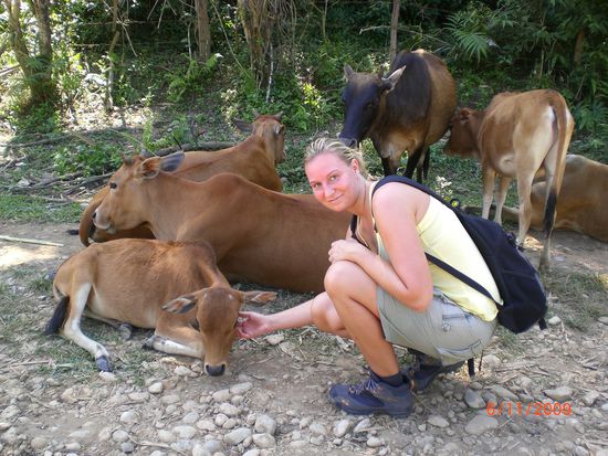 Die laufen alle auf der Straße rum und sind total zahm!!! Und außerdem können die wenigstens nicht beißen. Übrigens schaut mal, wie fertig ich vom Fahrradfahren bin .