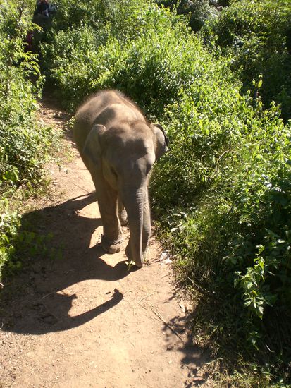 Hier ist der Kleine noch ganz lieb!!!!