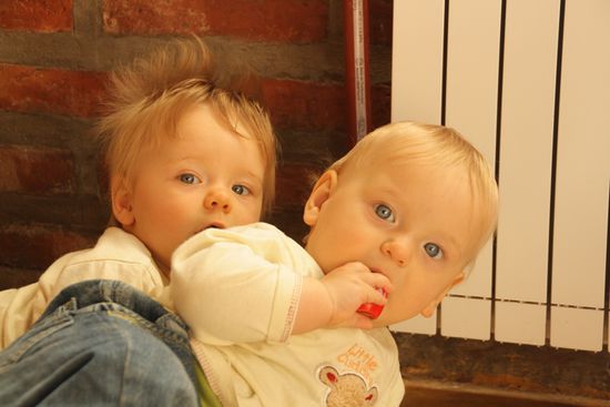 Die Zwillinge Lilly und Lottchen