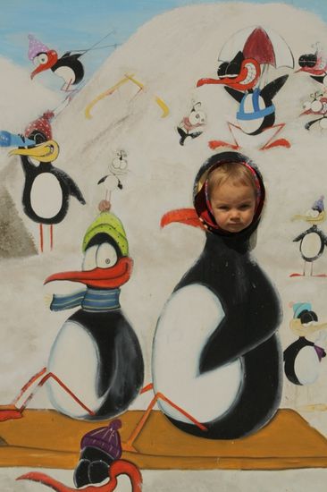 Es gibt hier aus sehr viele Pinguine.