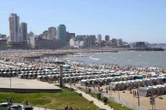 ein Reisefuehrer schreibt von auffaelligen Aehnlichkeiten mit einer Seeloewenkolonnie