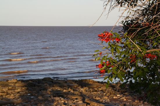 Rio de la Plata