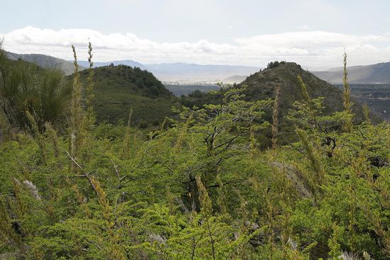 Bariloche liegt am Busen der Natur